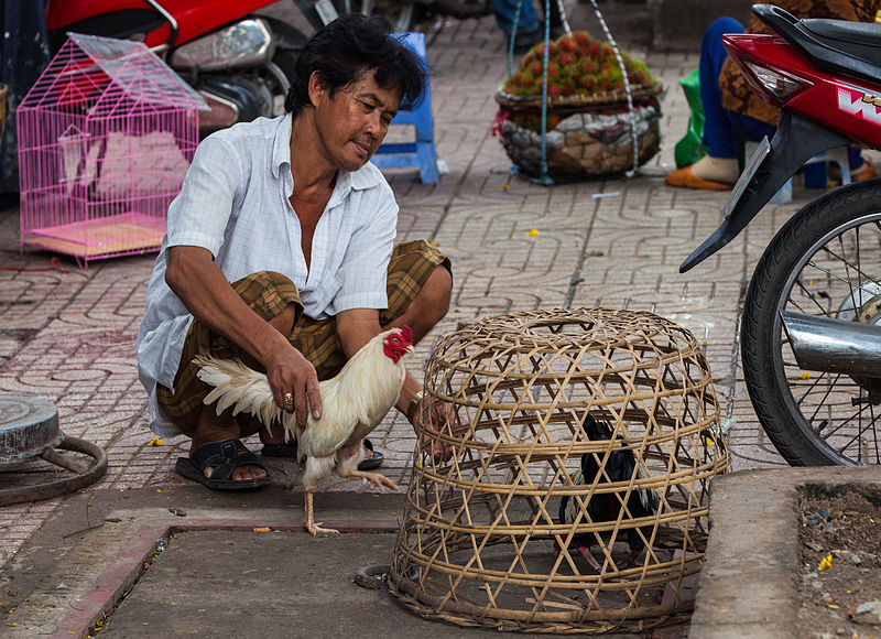 800px Vendedor callejero de gallinas Ciudad Ho Chi Minh Vietnam 2013 08 14 DD 01 1