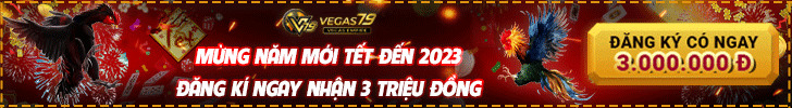 Đá gà cựa sắt - Xem trực tiếp đá gà Thomo mới nhất 2025 2 BANNER DA GA TEAM GAME