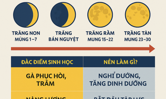 duong ga da