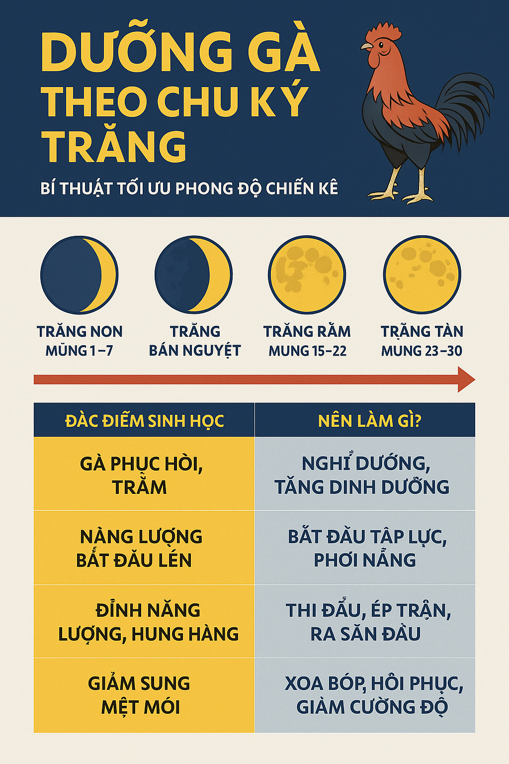 duong ga da