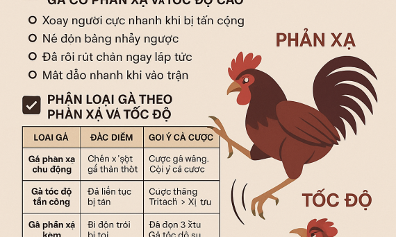 meo phan xa toc do