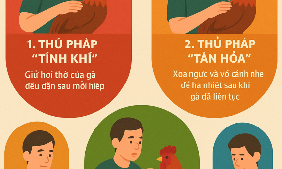tam phap ung ke