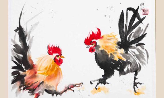 Luật Vận Hành Sinh Lực Trong Chiến Kê 19 luat van hanh sinh luc