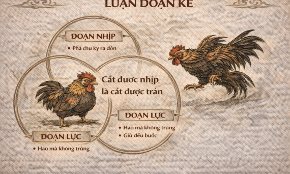 LUẬN ĐOẠN KÊ – CẮT ĐƯỢC NHỊP LÀ ĐOẠN ĐƯỢC TRẬN 14 Cat nhip cat tran